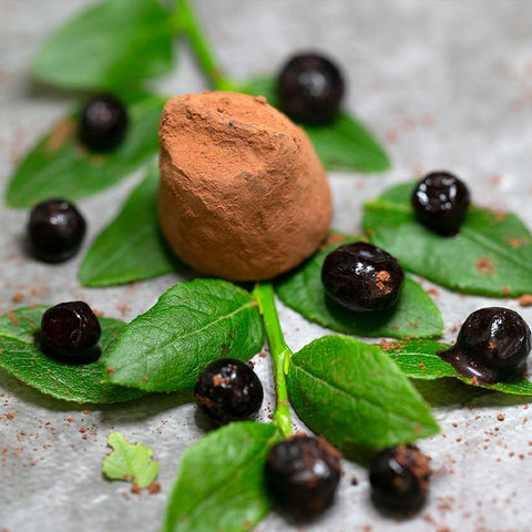 La Praline Chocolate Truffles Blaubeere Chocolat -der süße Laden-