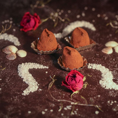 La Praline Chocolate Truffles Seasalt Chocolat -der süße Laden-