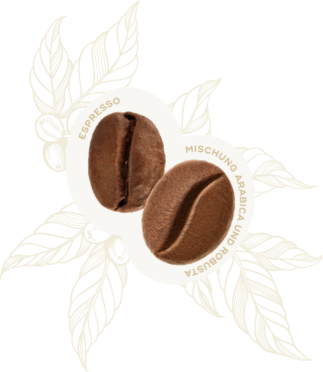 Hausbrandt Nonnetti Espresso Hausbrandt Trieste 1892 S.p.A.