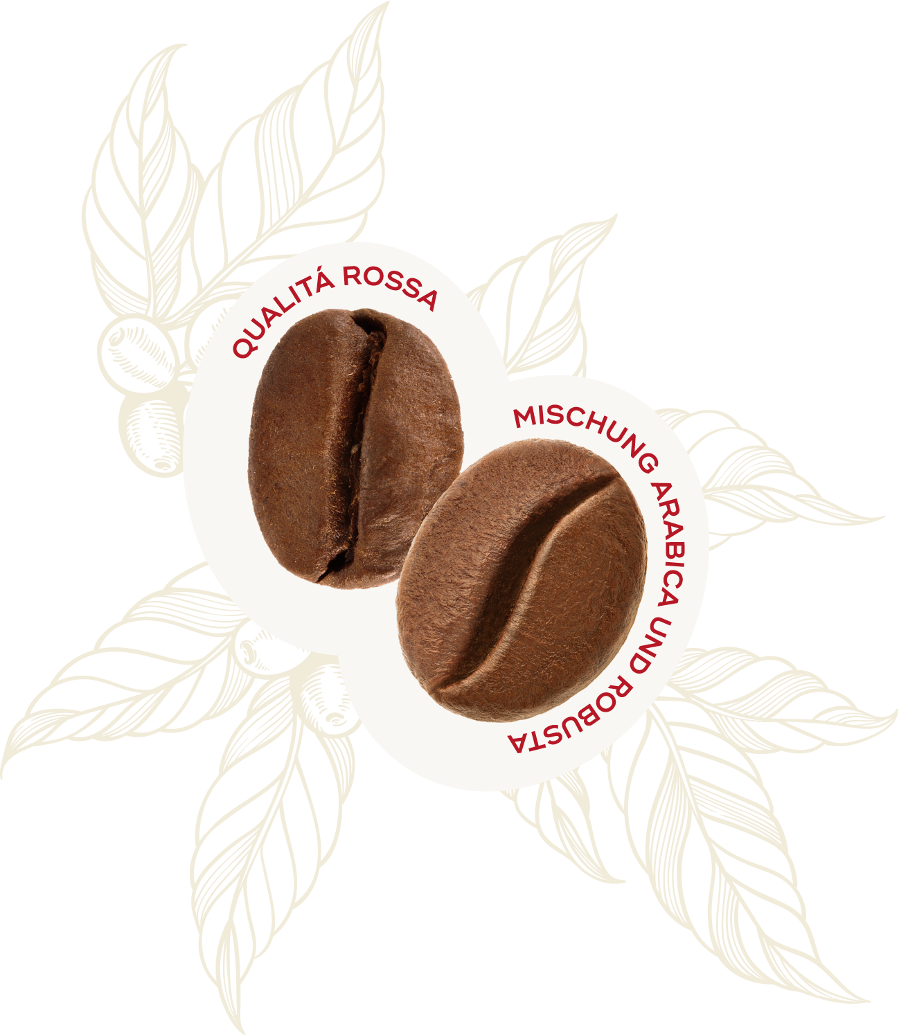 Hausbrandt Qualità Rossa Kaffeebohnen Hausbrandt Trieste 1892 S.p.A.