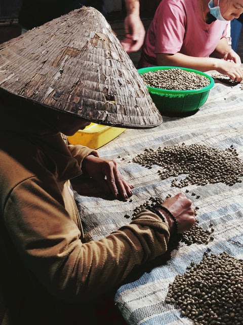 Kaffee-Herkunft und Rösterei-Impression – Drachenbohne | Espresso aus Vietnam