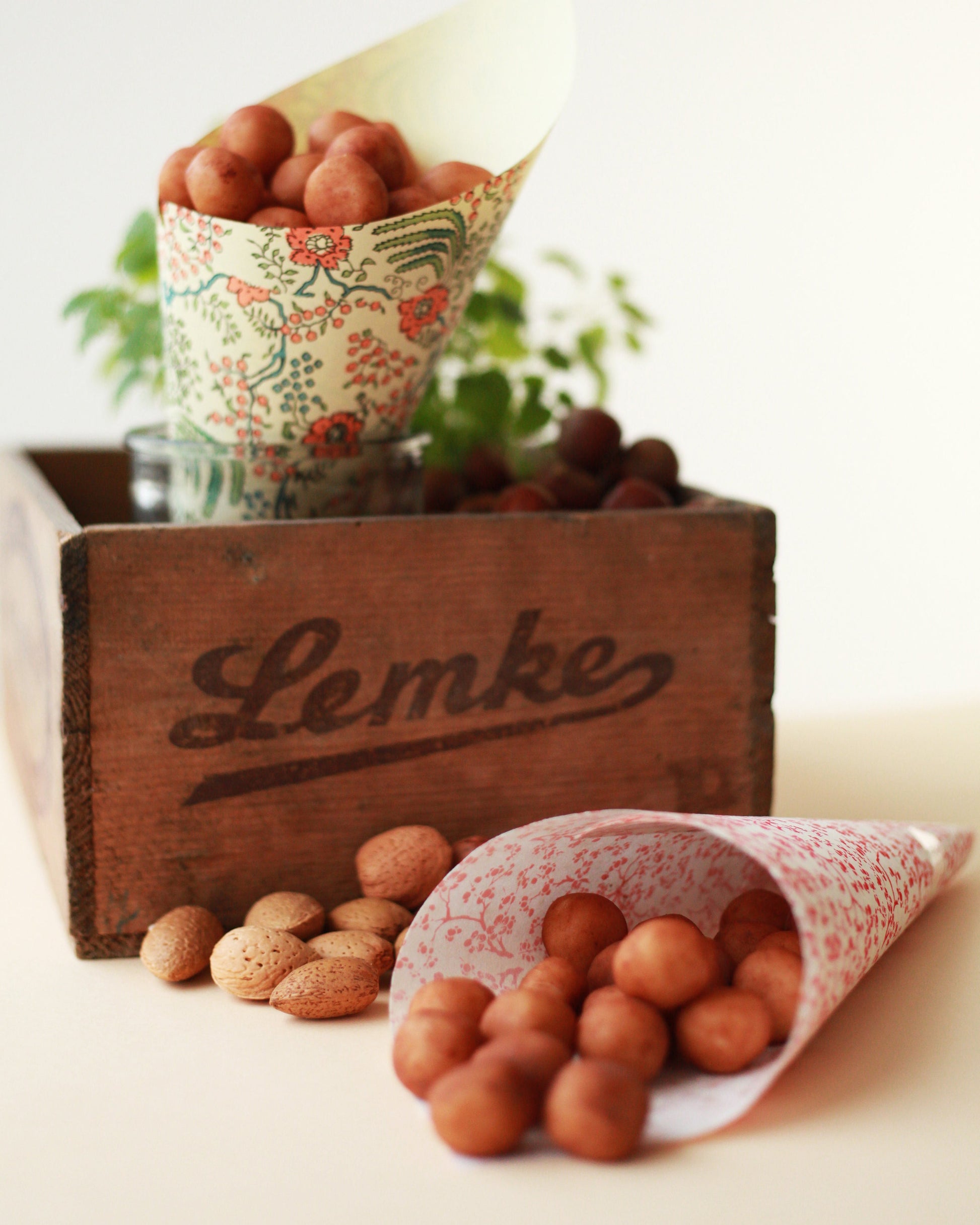 Marzipan Simply Pure 1kg Lemke Feines Berliner Marzipan & Mehr