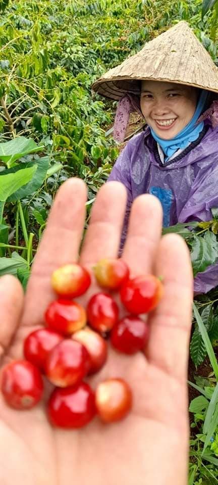 Kaffee-Herkunft und Rösterei-Impression – Mr. Toi | Röstkaffee aus Vietnam