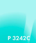 Lackierung Verde Tiffany · RAL P3242C