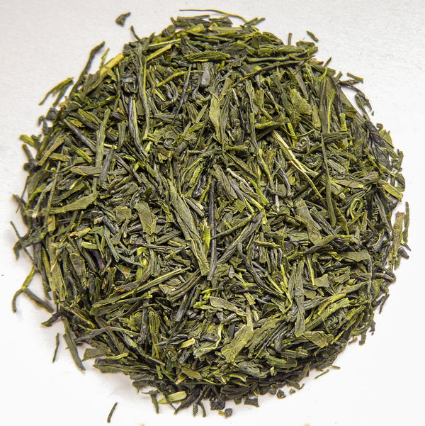 Japan Sencha Superior Grüntee Roberts Teehaus
